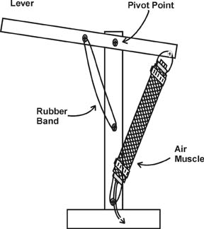 Compass component