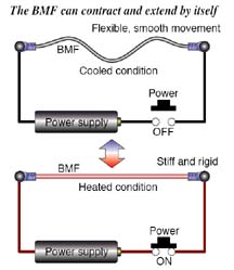 biometal fiber