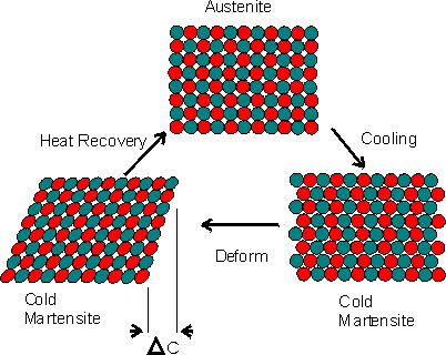 Nitinol Transitions