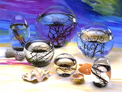 EcoSphere Pod with Self-Sustaining Sea Ecosystem