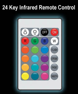 Alien bust rear view